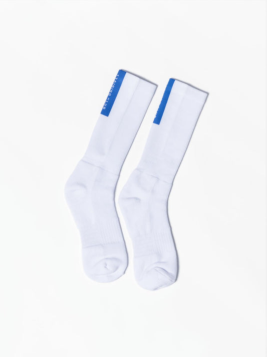 Performance Sock - Blue